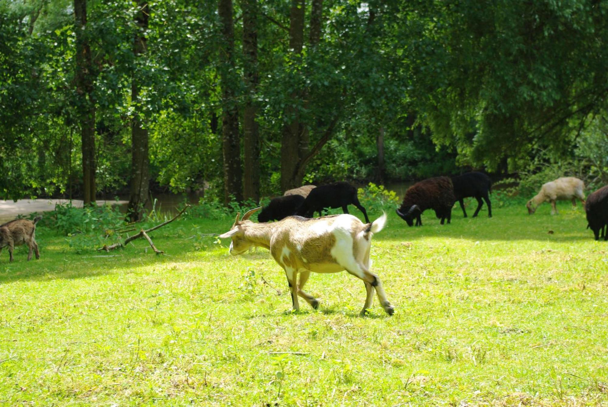Mont-près-Chambord Maison D'Hotes Moulin Du Bas Pese מראה חיצוני תמונה