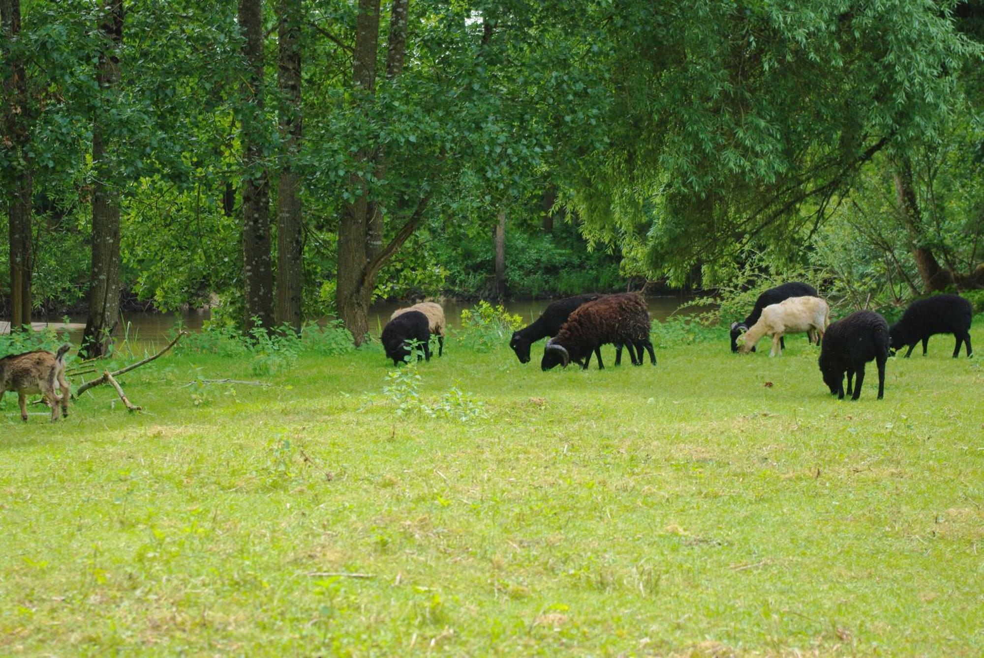 Mont-près-Chambord Maison D'Hotes Moulin Du Bas Pese מראה חיצוני תמונה
